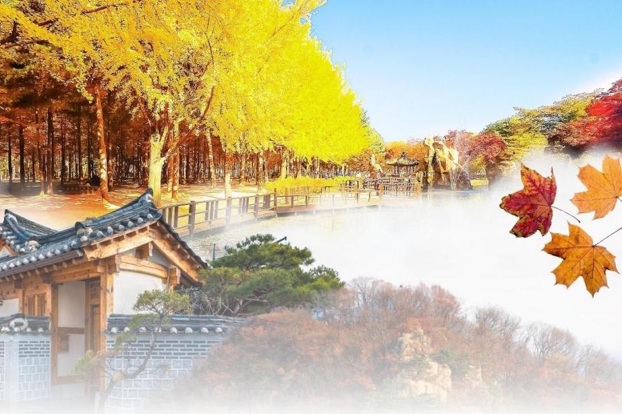 DU LỊCH HÀN QUỐC SEOUL – NAMI - EVERLAND | 5 Ngày 4 Đêm